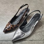 پاشنه لوسیو